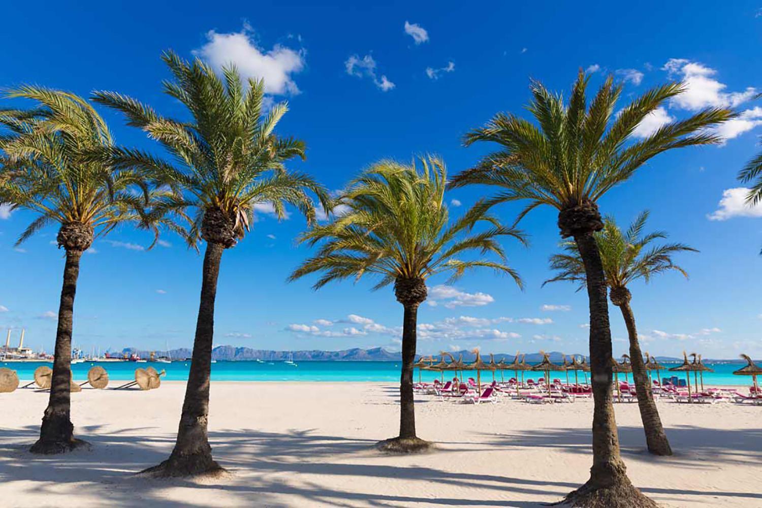 Apartamento Arcoiris, Con Piscina Y Junto A Playa De Alcudia المظهر الخارجي الصورة